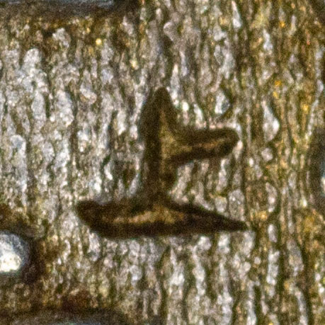 上 - shàng - above, up, top