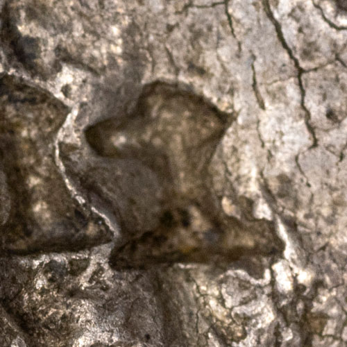 Possibly 土 - tǔ - earth, soil, land, Japanese radical 32