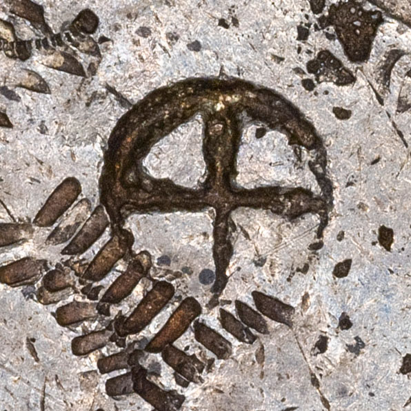 田 - Seal script for 田 - tián - field, farmland